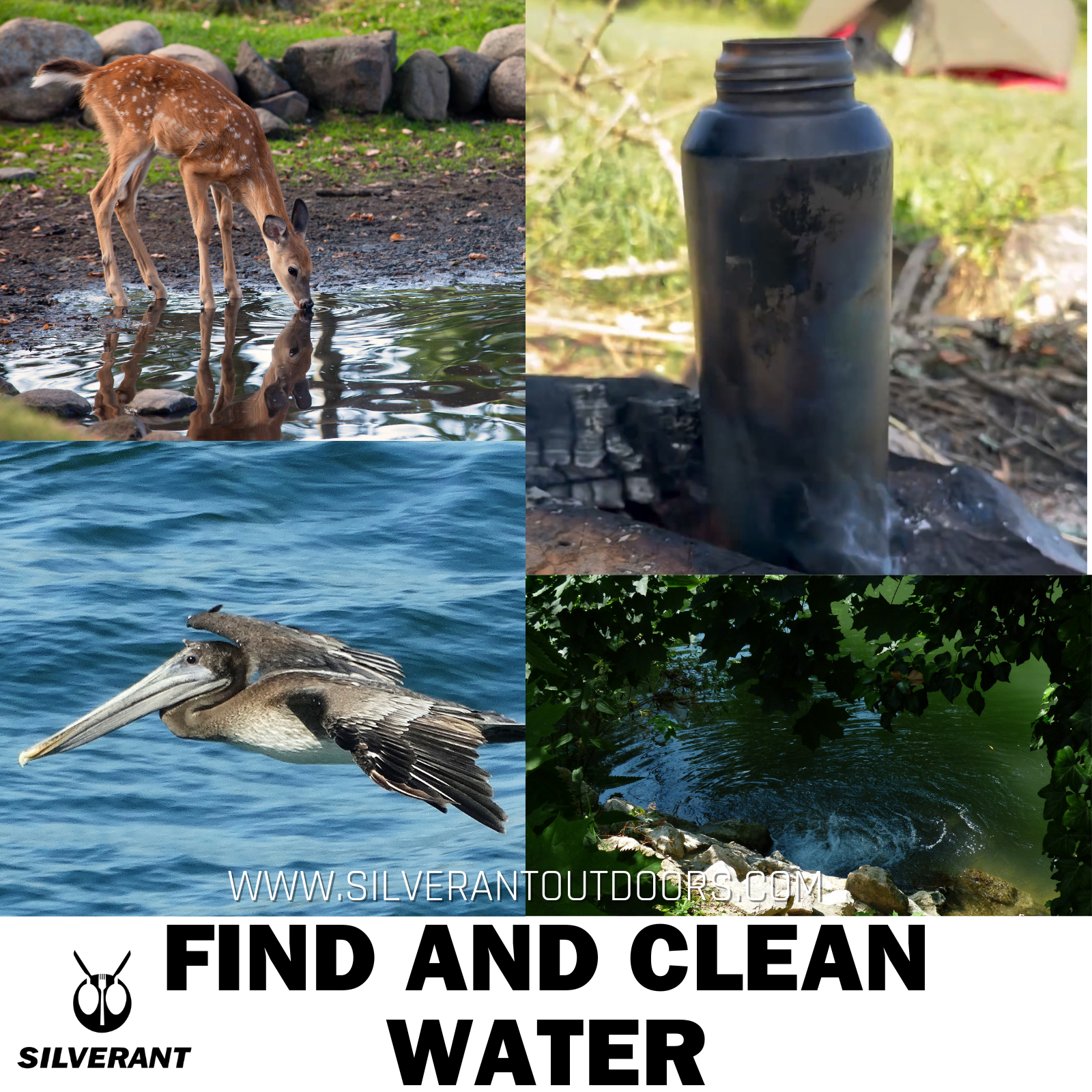 Find and clean water - SilverAnt Outdoors