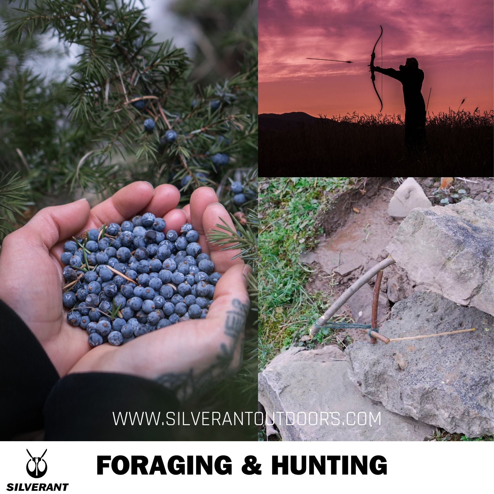 Foraging & Hunting