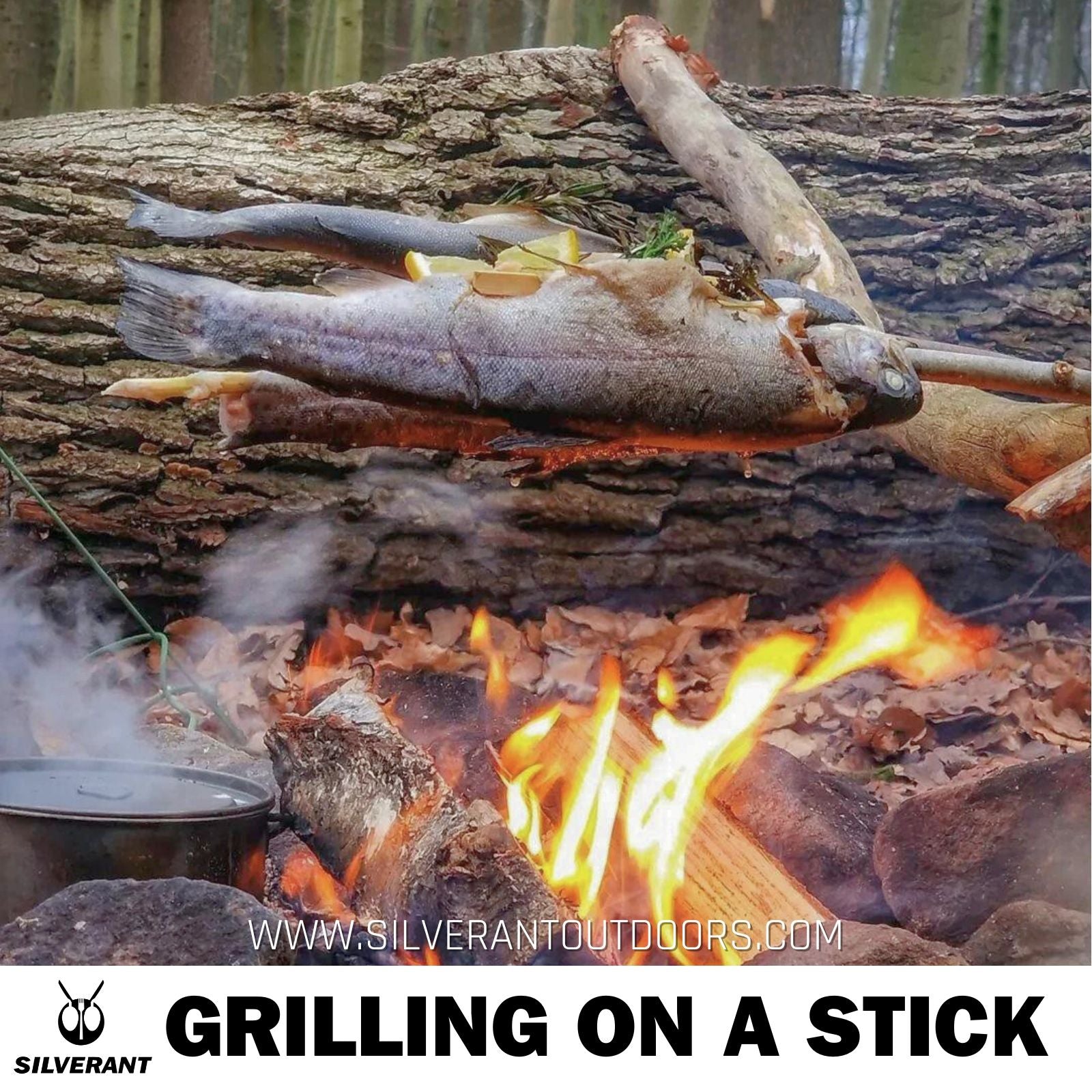 Grilling on a Stick