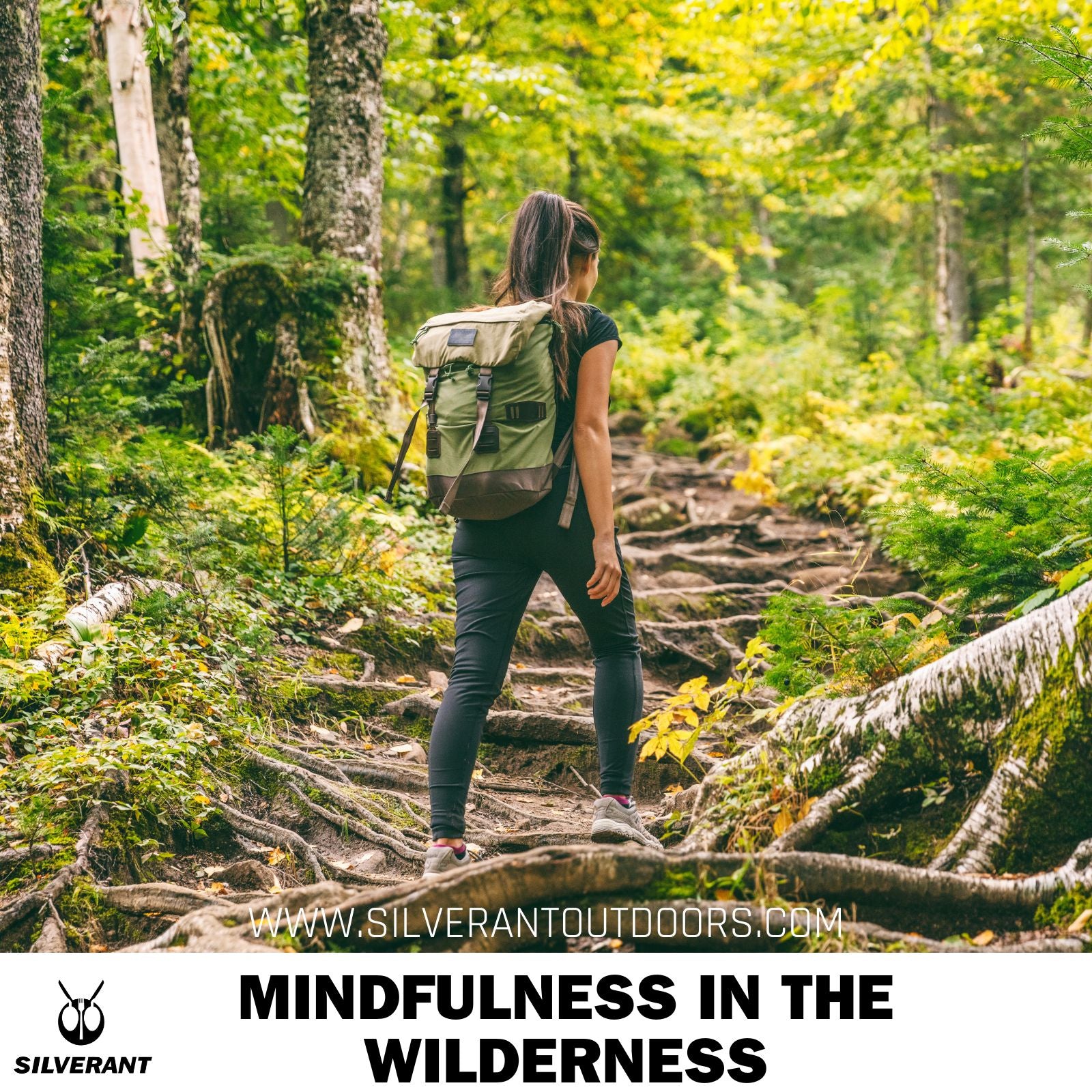 Mindfulness in the Wilderness