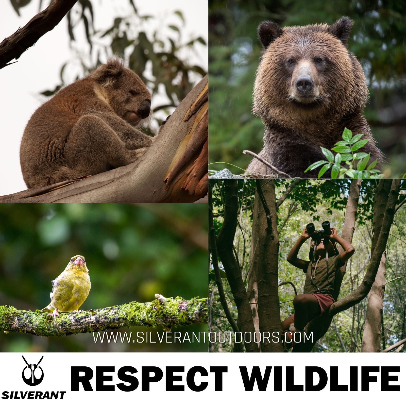 Respect Wildlife-SilverAnt Outdoors