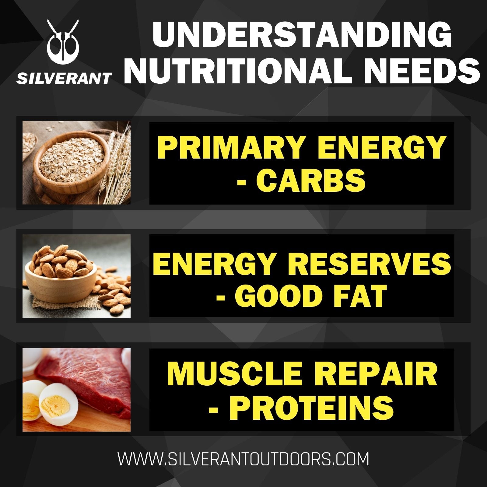 Understanding Your Nutritional Needs