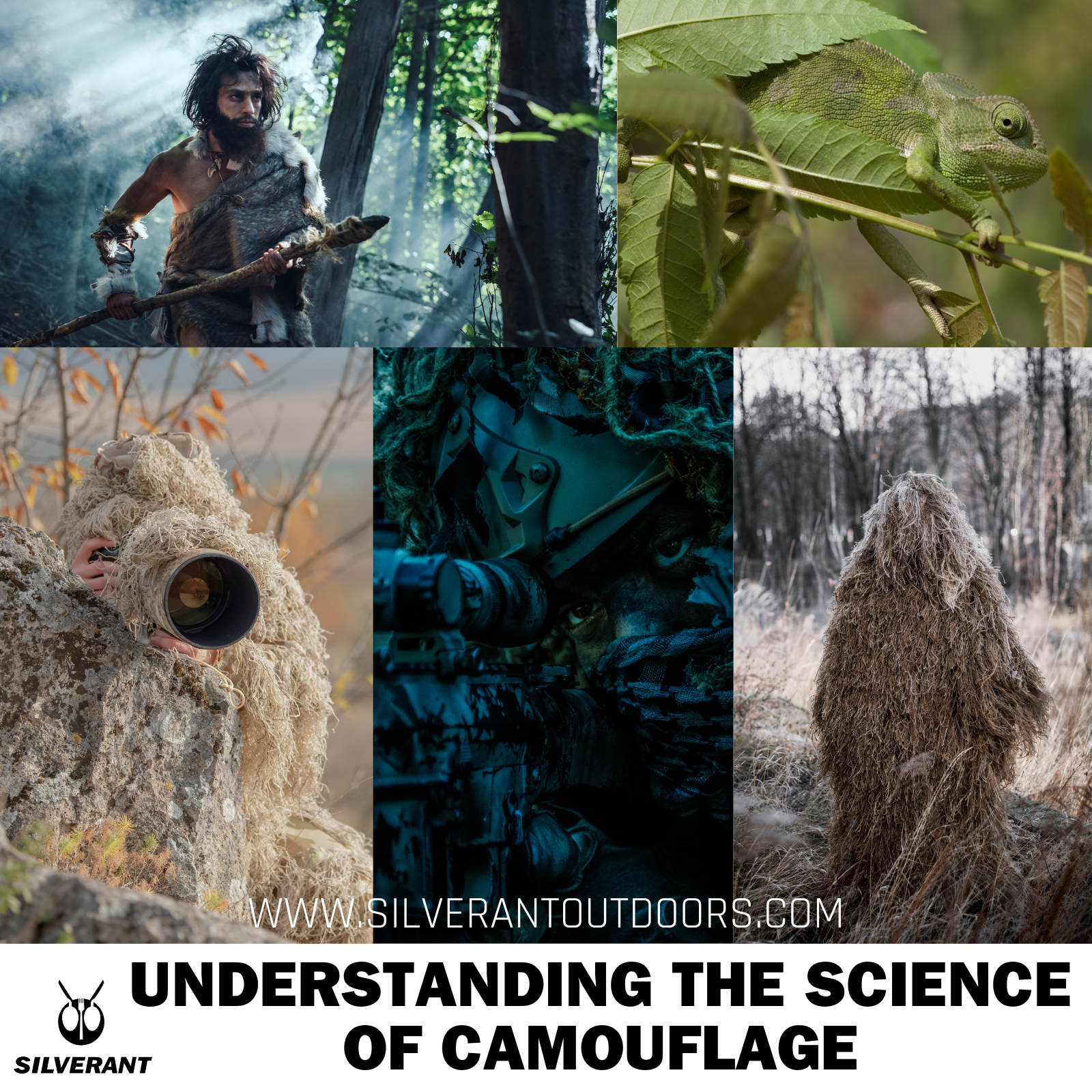 Understanding the Science of Camouflage