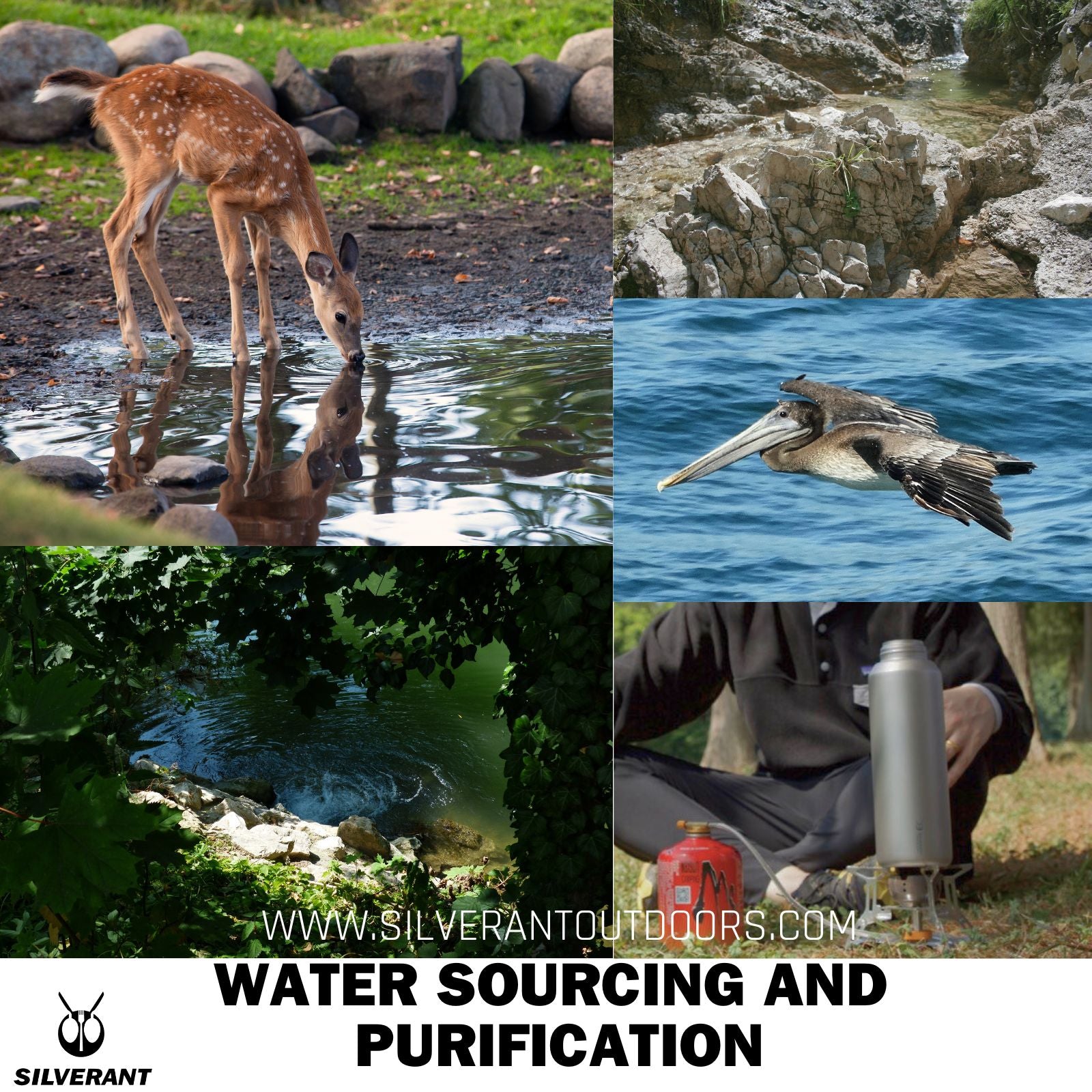 Water Sourcing and Purification