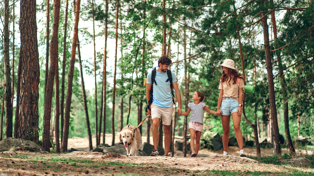 Día del Padre: Familia feliz con perro paseando por el campo