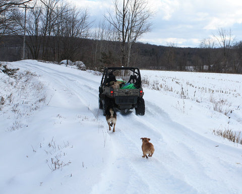 Dog patrol on the move at CBF in preparation for the 2023 maple season.
