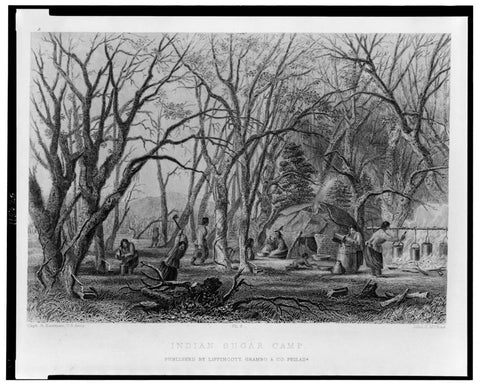 Native American Sugarcamp from the Library of Congress.