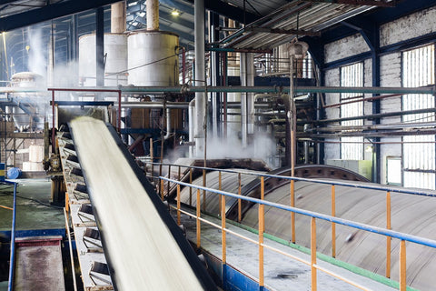 A conveyor belt of processed sugar in a large manufacturing facility.