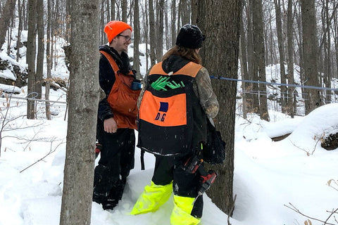 sugarmakers deciding where to place this seasons tap hole