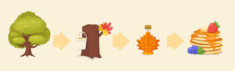 The maple process