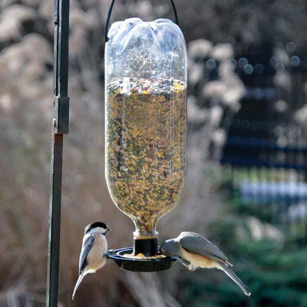 Plastic Bottle as Bird Feeder