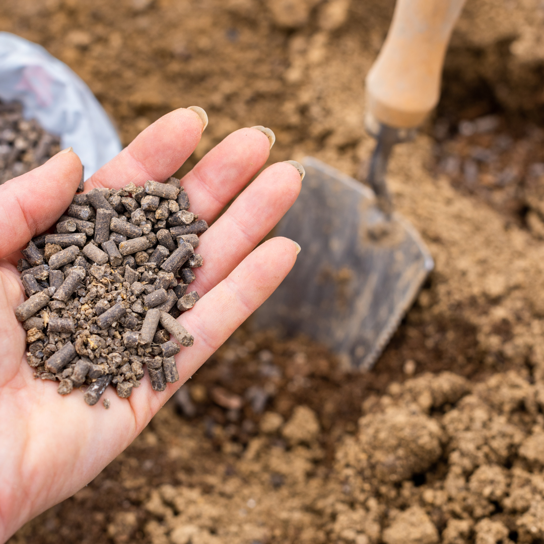 Fertiliser for Plants