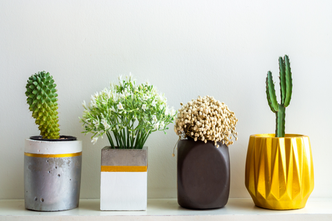 Different types of planters