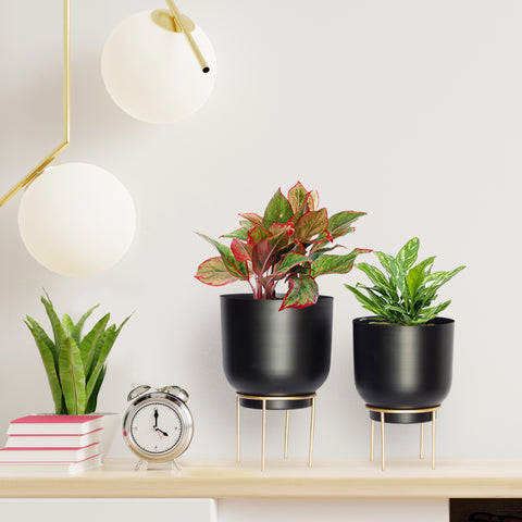 Eva Black Metal Plant Pot (Set of 2)