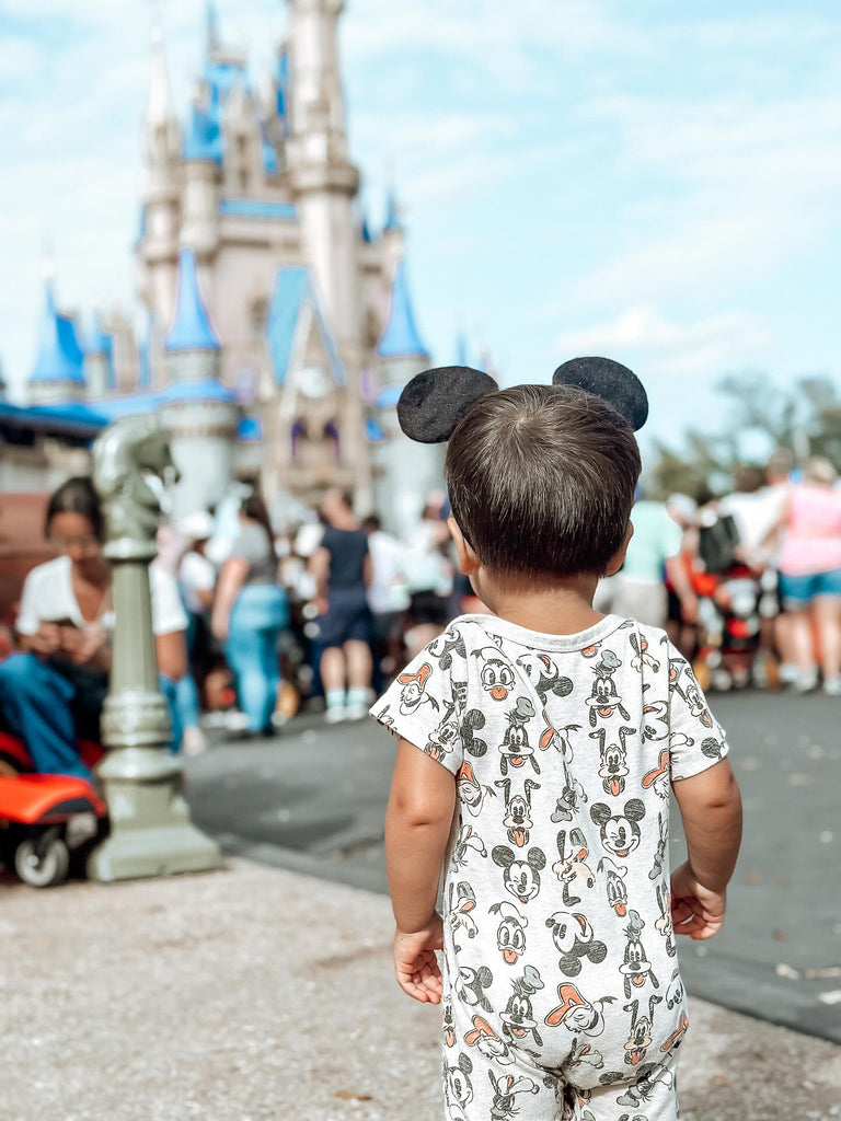 Cinderella castle and baby luke