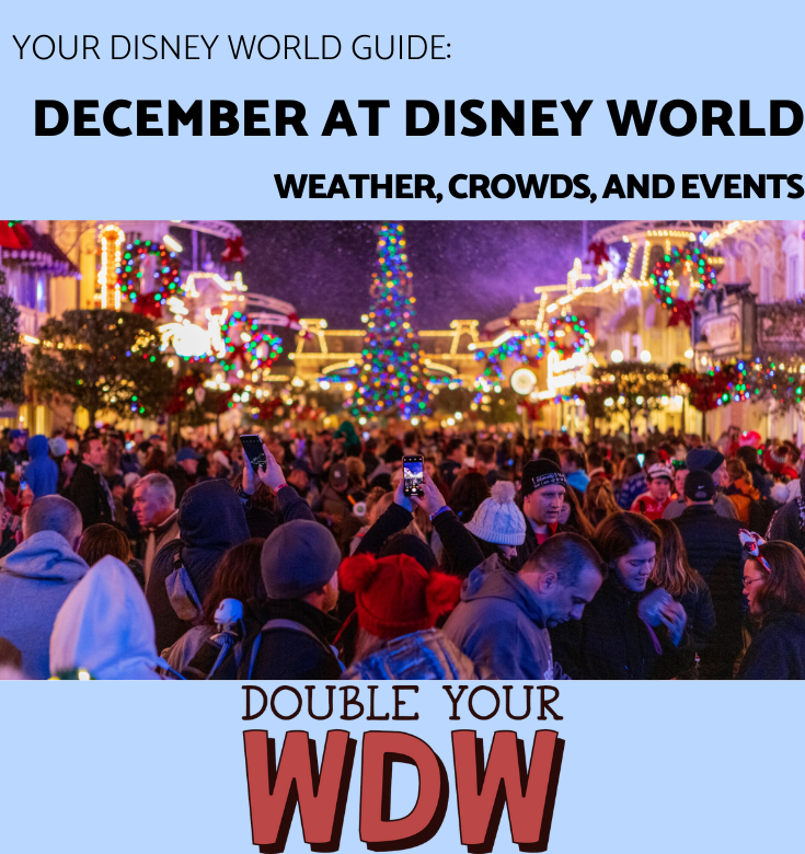 December at Disney World