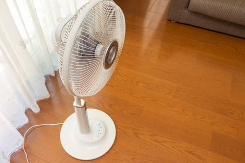 dry the flooring using fan