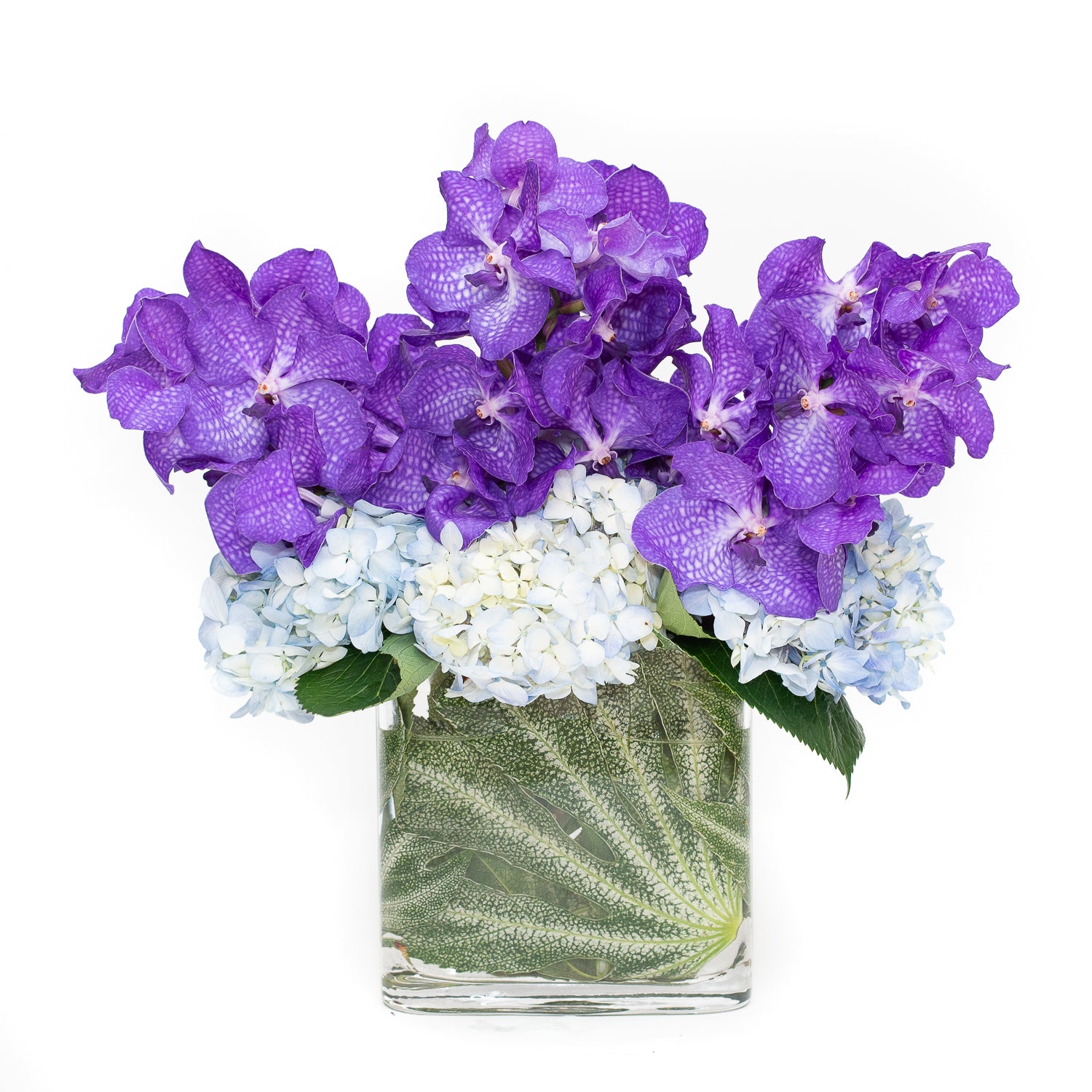 Yenifer – Flores Mantilla: Floral Design & Gifts