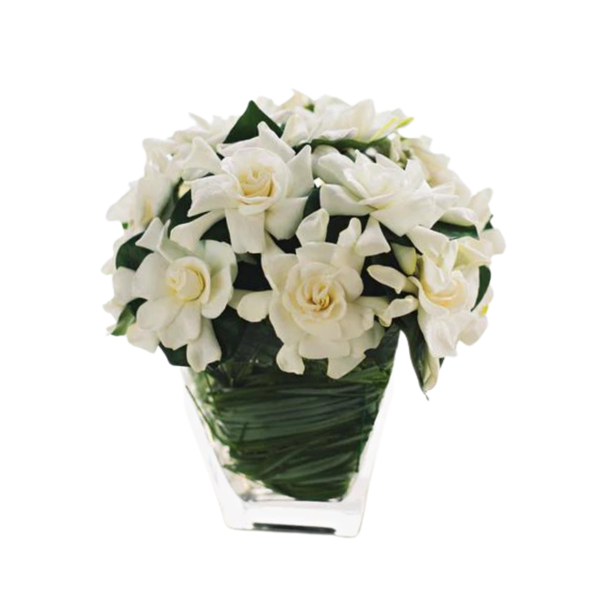 Bianca – Flores Mantilla: Floral Design & Gifts