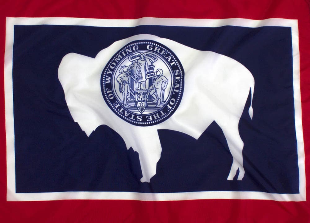 1970 год символ штата сша. Флаг Вайоминга. Герб штата Вайоминг. Флаг штата США Вайоминг. Вайоминг флаг и герб.