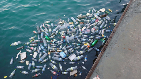 By 2050 there will be more plastic in the oceans than fish | PATHWATER