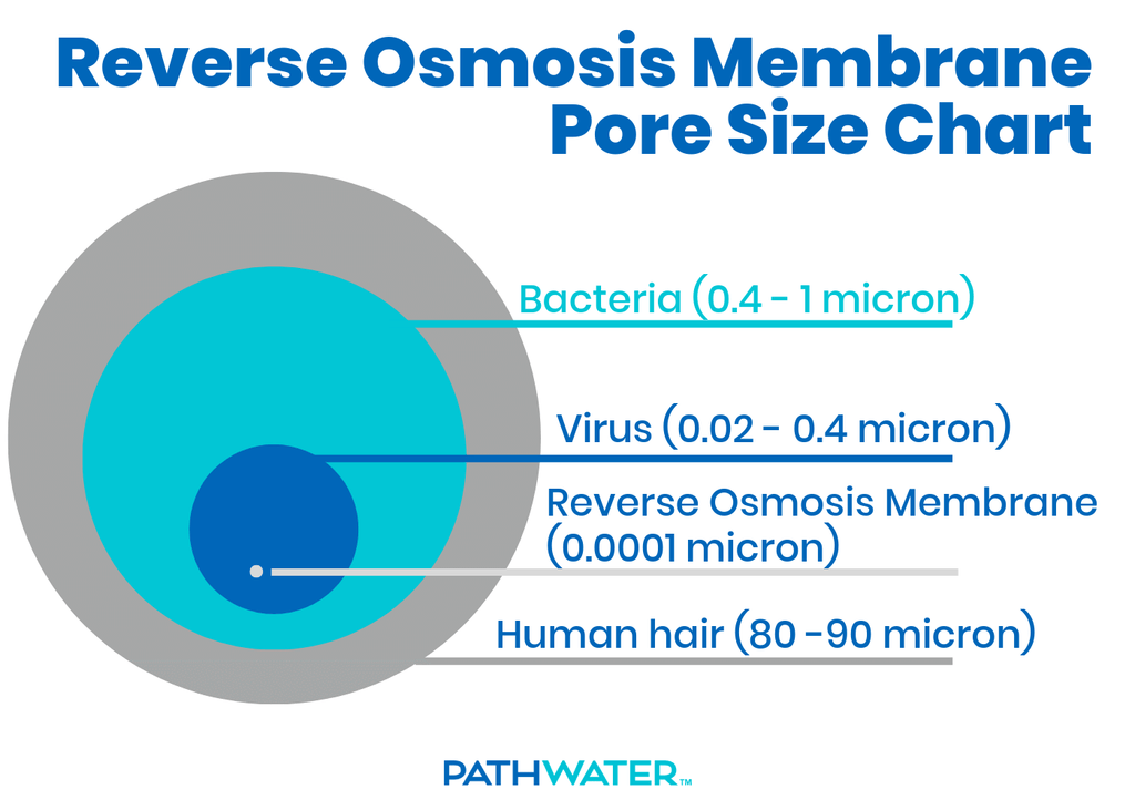 what-is-the-reverse-osmosis-bottled-water-purification-process-pathwater