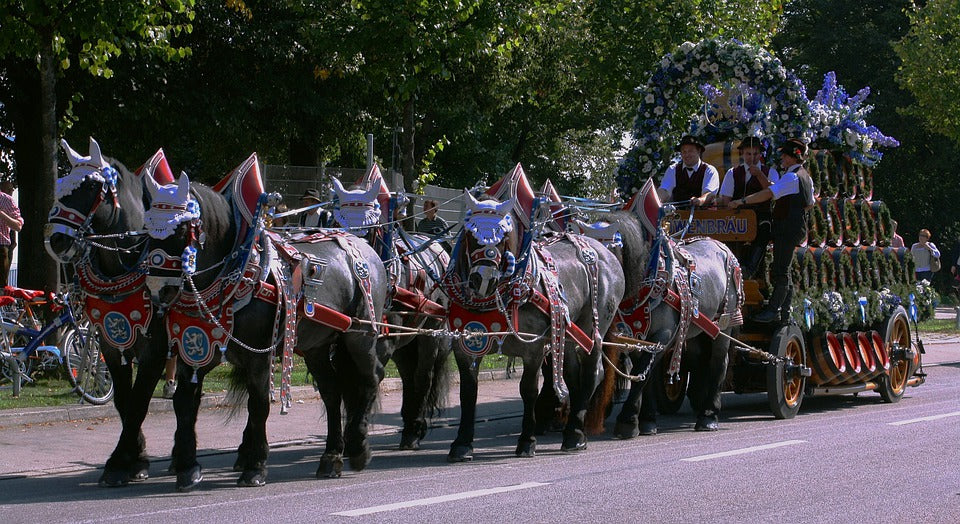 Oktoberfest parade horses