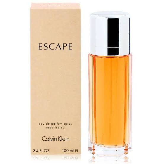 calvin klein edp 100 ml