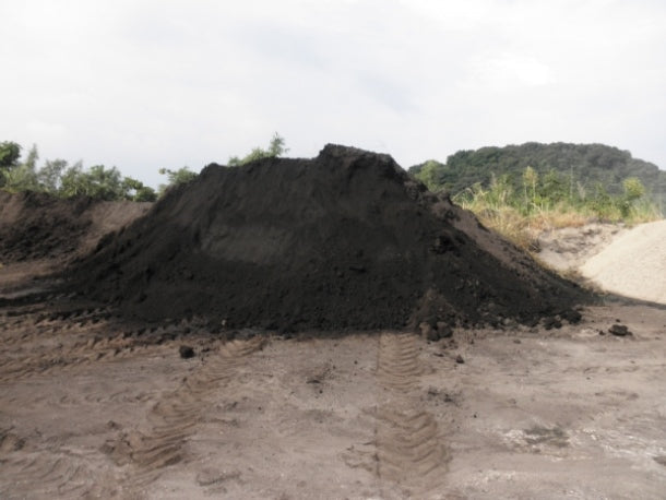 Black soil real image