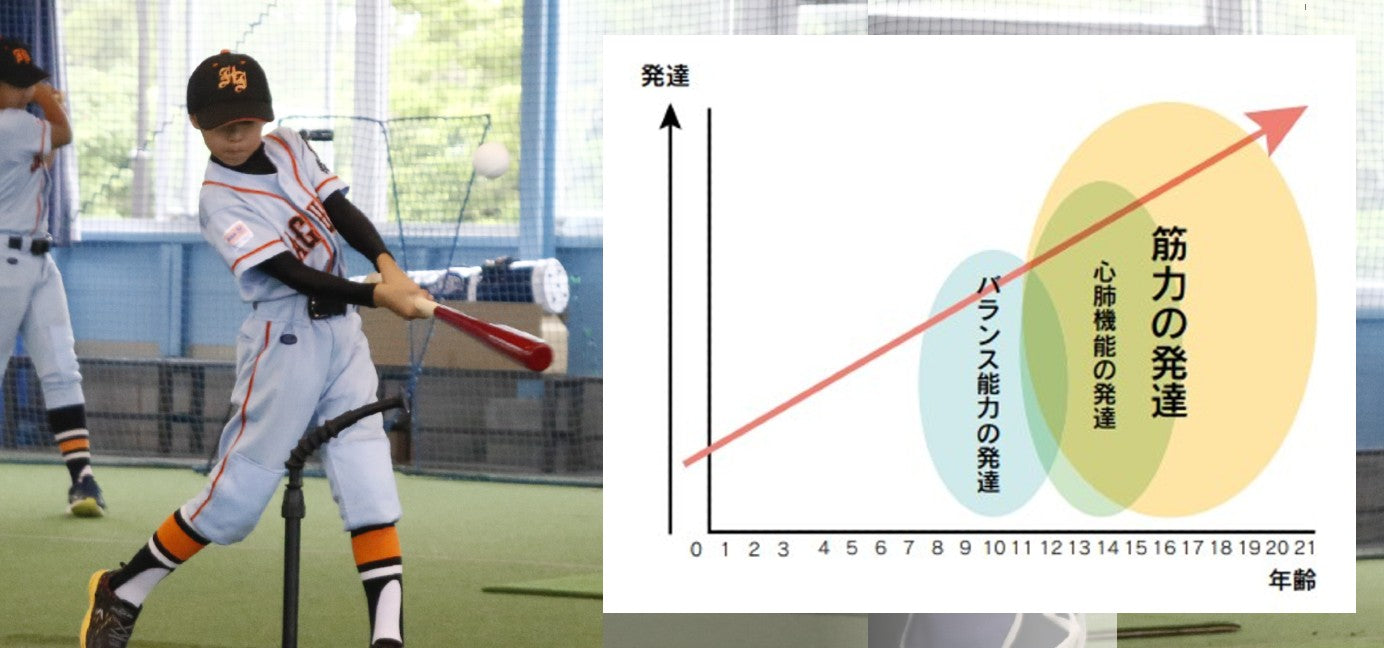 なぜ竹バット？竹バットの特徴とは – ボールパークドットコム