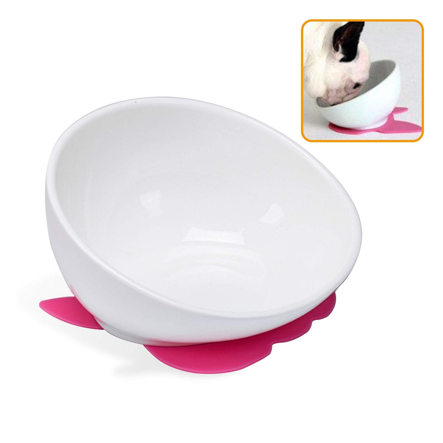 flat dog bowl