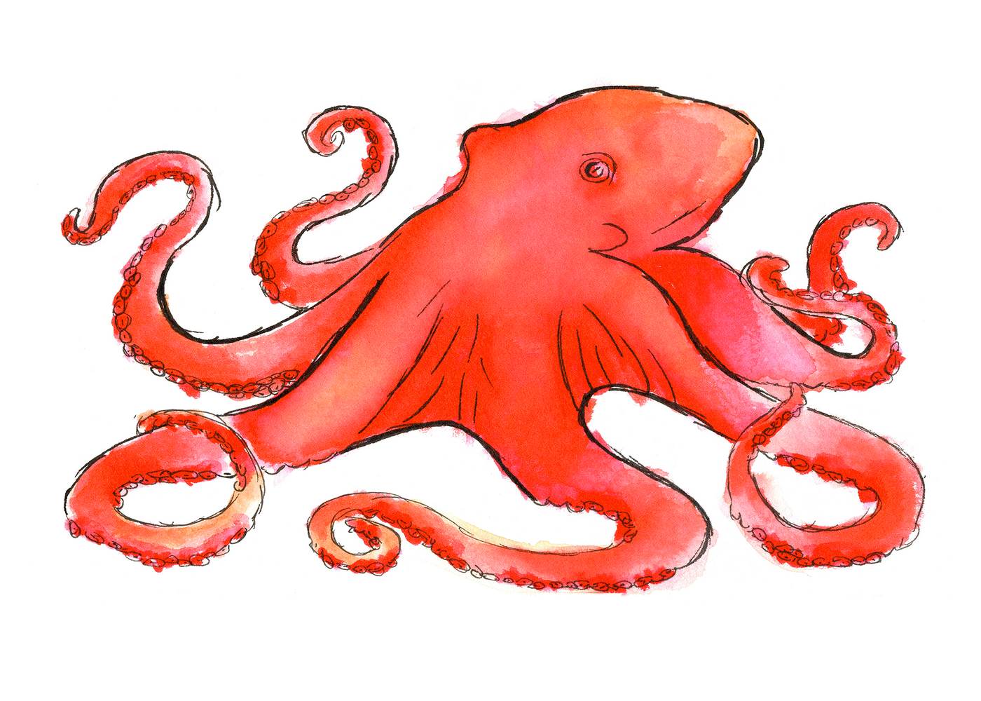 Watercolor Octopus Art Print