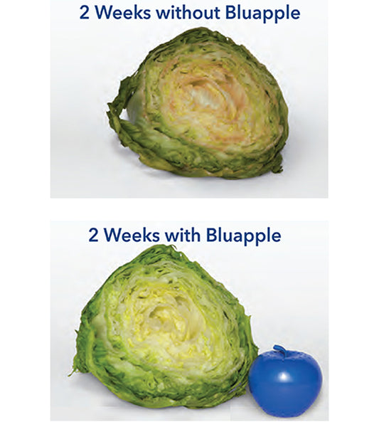 Bluapple Produce PreserverProduce Preserver | FreshMats Produce Mats That Promote Healthy Produce Purple
