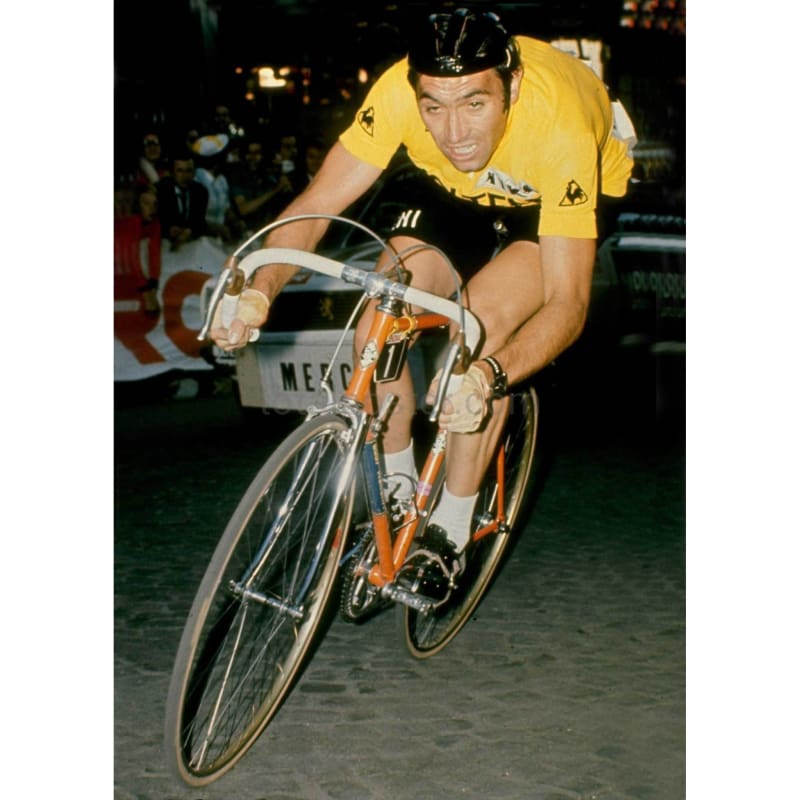 eddy merckx yellow jersey