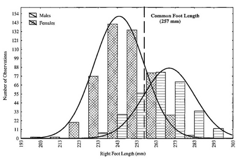 statistical distribution of right foot length by gender (in millimetres)