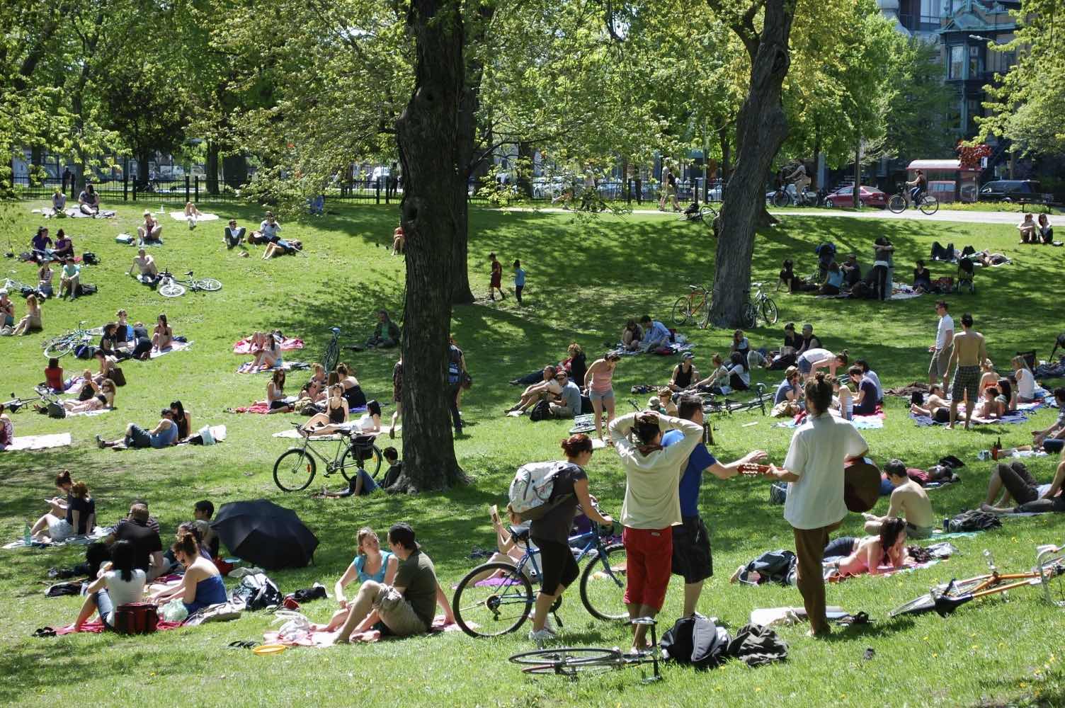 Mount Royal Park Montreal 