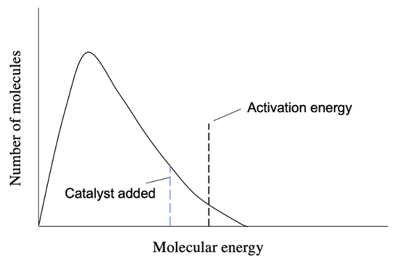 Effect of catalyst on the activation energy of a reaction