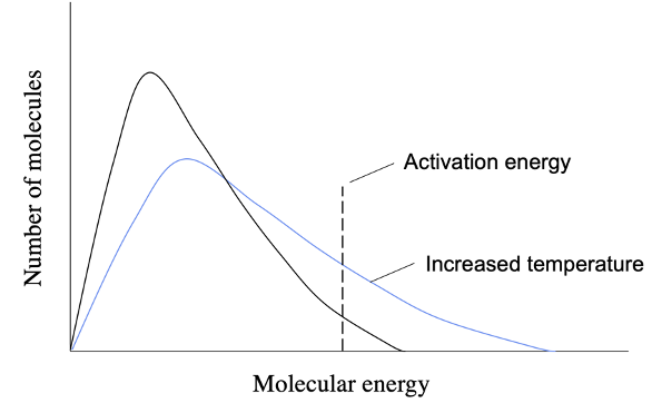 Effect of temperature on the energy of molecules in a chemical system