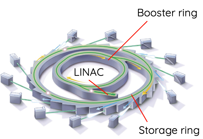 Structure of a synchrotron