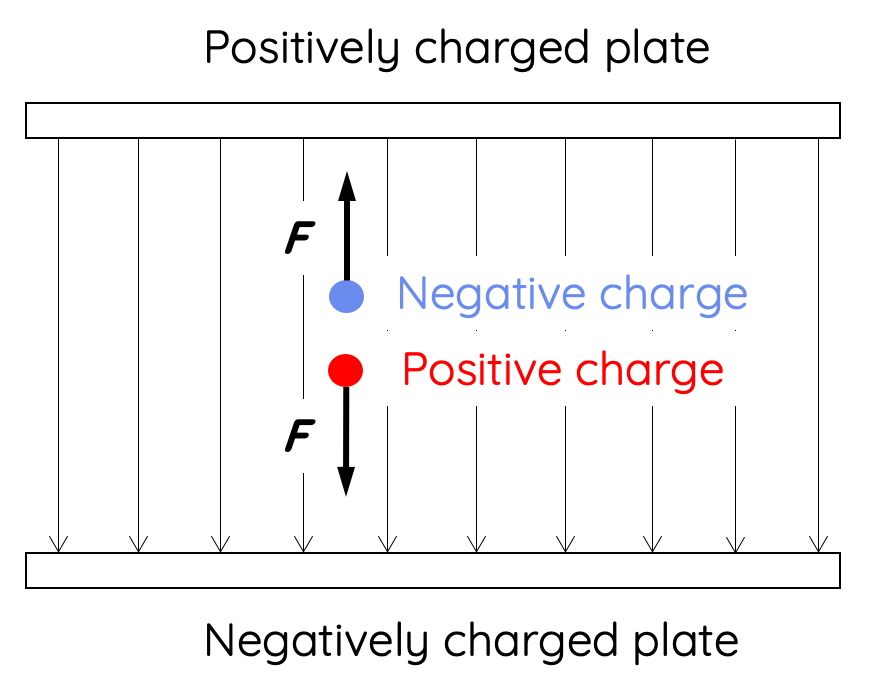 Forces in Electric Fields