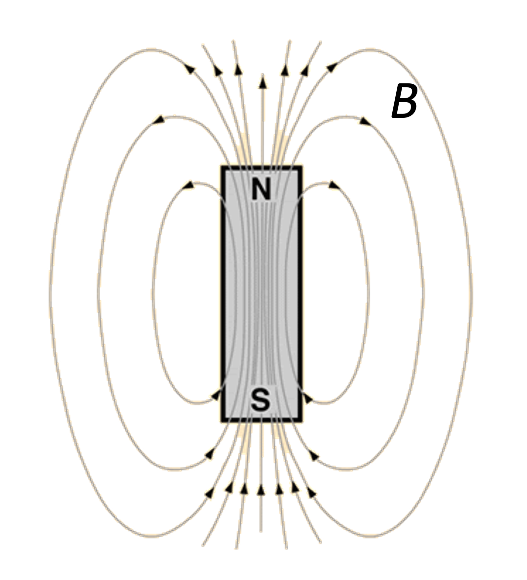 Магнитное поле в центре соленоида. Магнитные линии магнитного поля полосового магнита. Полосовой постоянный Магни. Магнитное поле монополя. Магнитные линии в природе.