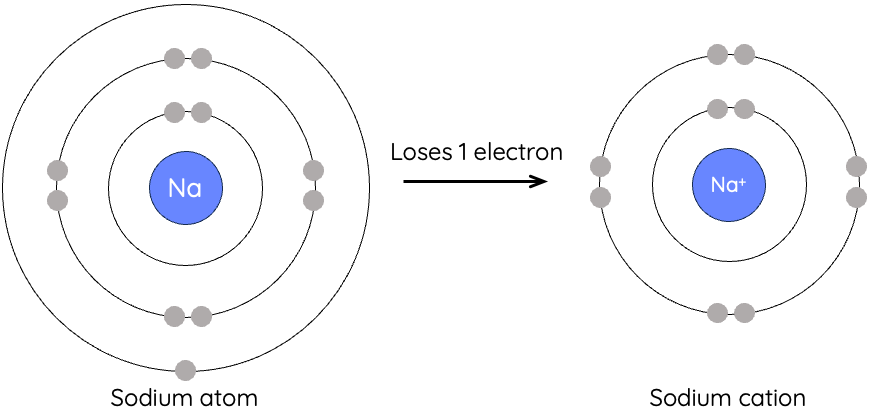 Formation of sodium cation