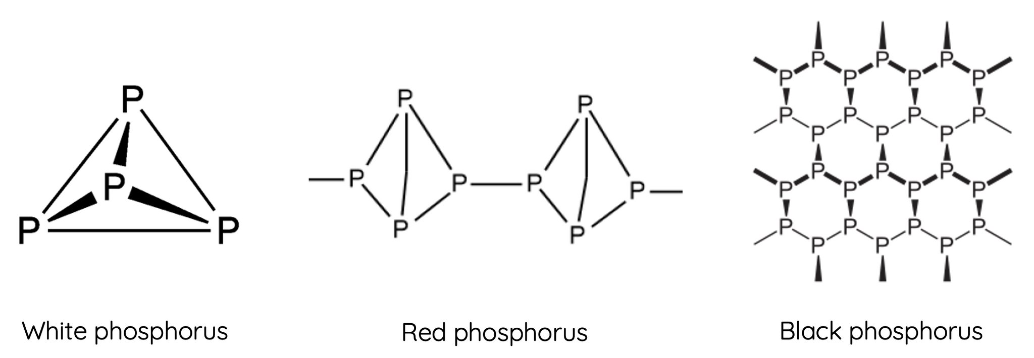 Structure of phosphorus allotropes