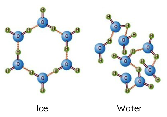 Water structure in solid vs liquid state
