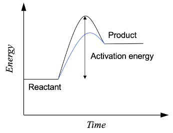 Effect of catalyst on the energy profile of a reaction