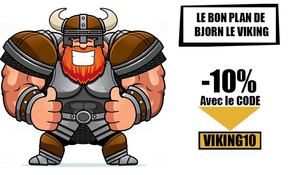 Bon Plan Invasion Viking Shop