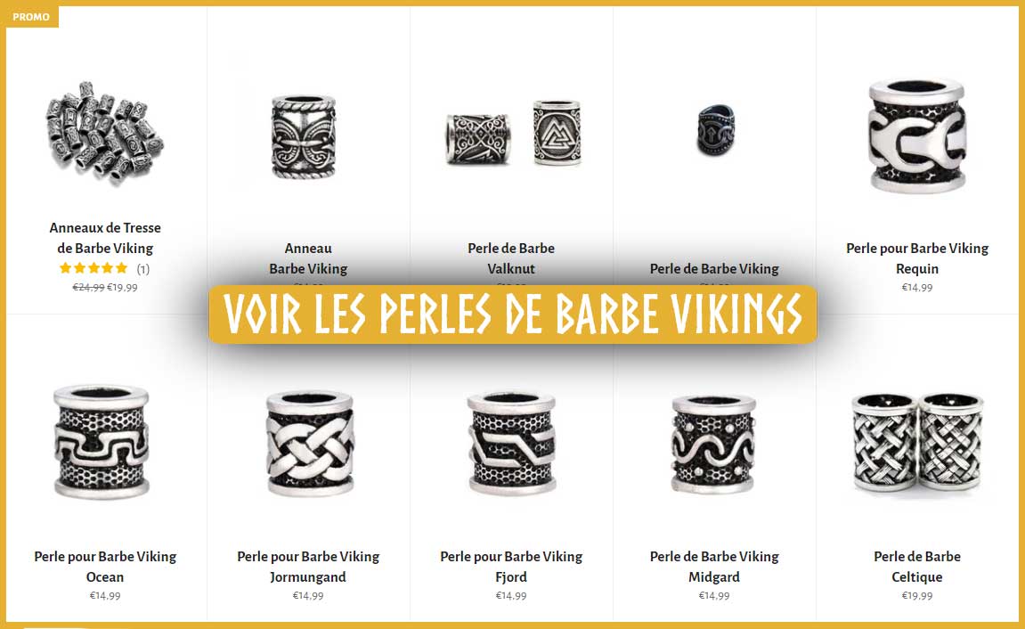Coiffure Homme Viking