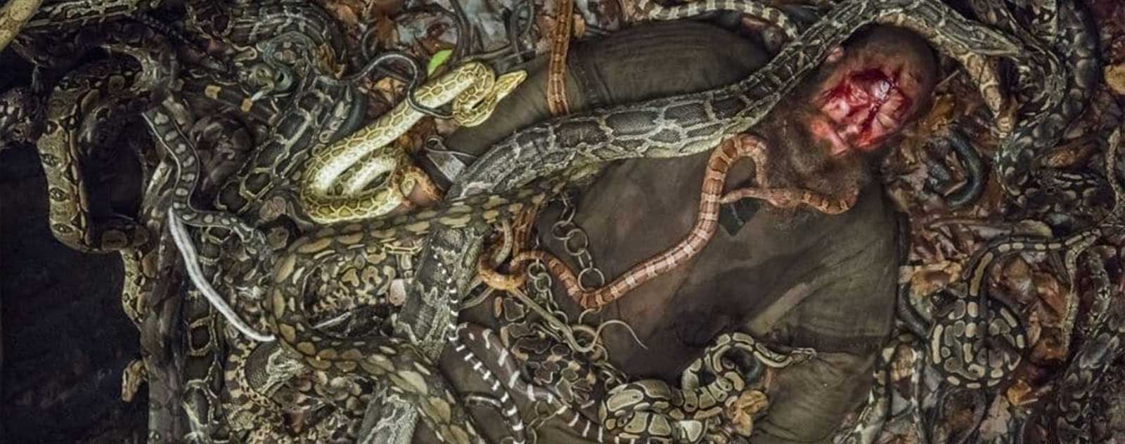 Ragnar dans la fosse aux serpents