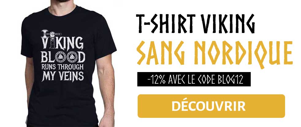T-shirt Viking Sang Nordique