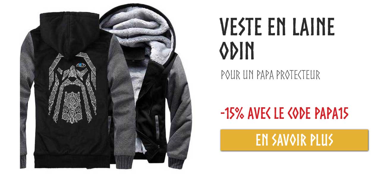 Pull Odin homme